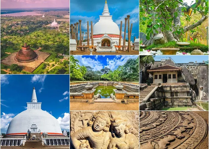 Sigiriya Hotel And Resort